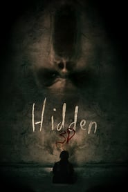 Hidden-3D-2011